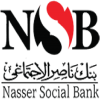 الدليل العربي-بنك ناصر الاجتماعى-مصر