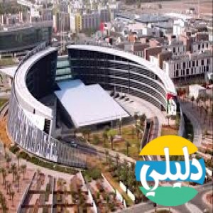 الدليل العربي-United Arab Emirates University