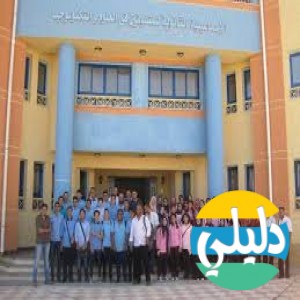 الدليل العربي-stem school