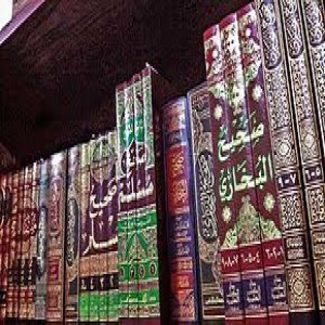 الدليل العربي-مواقع اسلامية-حديث شريف-الدرر السنية