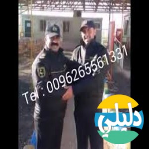 الدليل العربي-العقرب