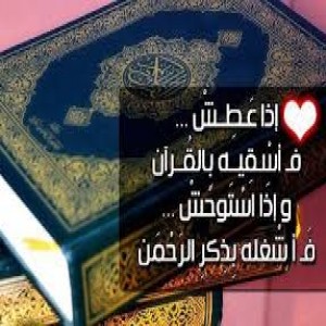 الدليل العربي-القران الكريم