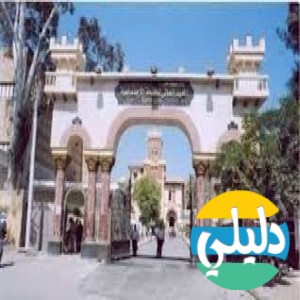 الدليل العربي-المعهد العالى للخدمة الاجتماعية