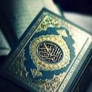 الدليل العربي-مواقع اسلامية-أخرى إسلامية-المكتبة الصوتية للقران الكريم