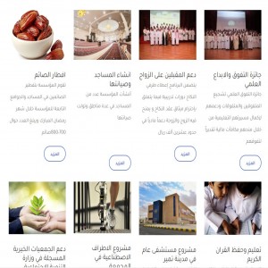 الدليل العربي-مواقع اخرى-مجتمعات-مؤسسة ابراهيم السلطان الخيرية