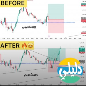 الدليل العربي-مكتب بورصة بروس للاستشارات بالبورصات