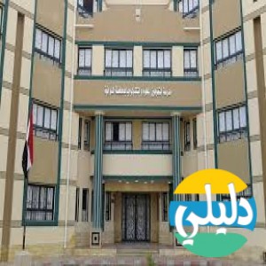 الدليل العربي-stem school