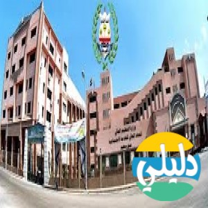 الدليل العربي-المعهد العالى للخدمة الاجتماعية