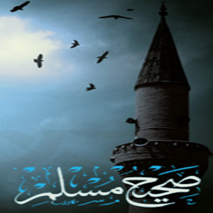 الدليل العربي-مواقع اسلامية-حديث شريف-جامع السنه وشروحها