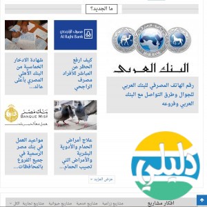 الدليل العربي-صناع المال