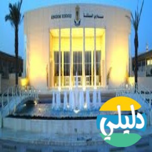 الدليل العربي-مدارس المملكه
