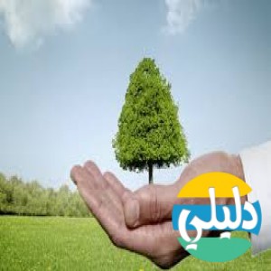 الدليل العربي-وزاره البيئه المصريه