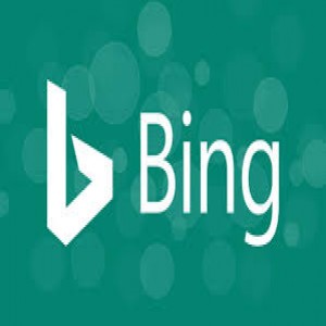 الدليل العربي-bing بينق