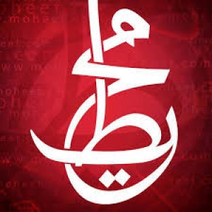 الدليل العربي-شبكه الاعلام العربيه